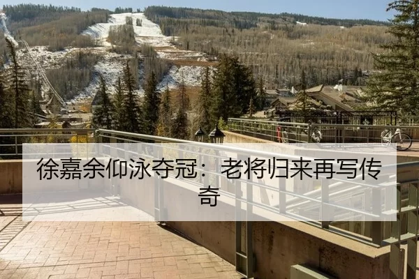 徐嘉余仰泳夺冠：老将归来再写传奇